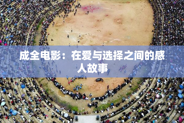 成全电影：在爱与选择之间的感人故事