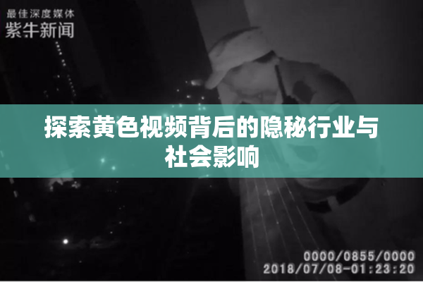 探索黄色视频背后的隐秘行业与社会影响