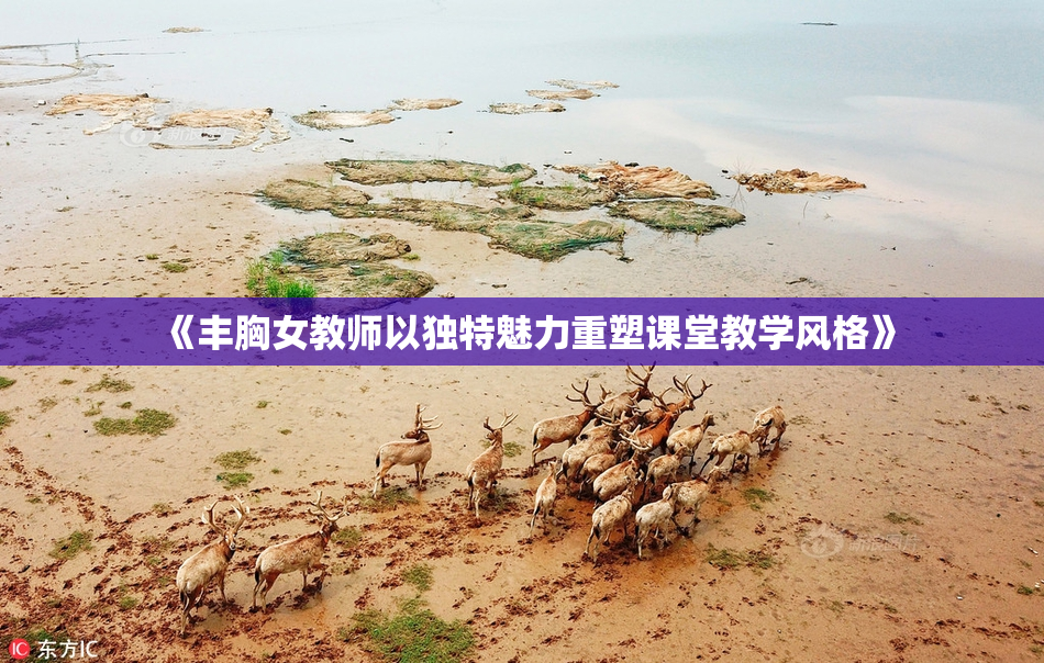 《丰胸女教师以独特魅力重塑课堂教学风格》