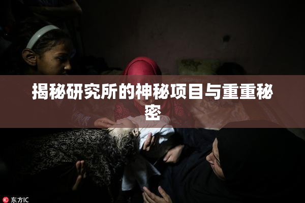 揭秘研究所的神秘项目与重重秘密