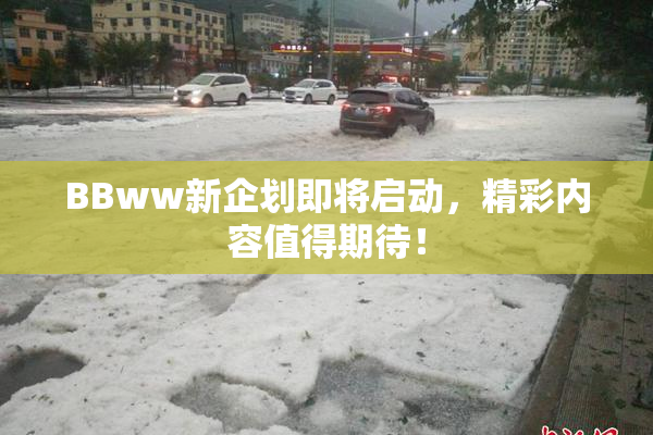BBww新企划即将启动，精彩内容值得期待！