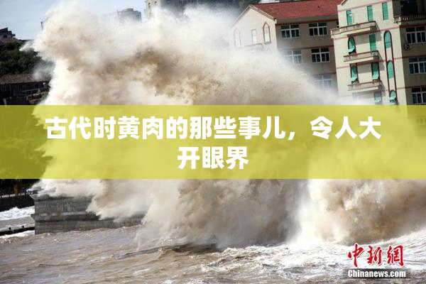 古代时黄肉的那些事儿，令人大开眼界