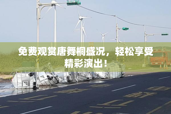 免费观赏唐舞桐盛况，轻松享受精彩演出！