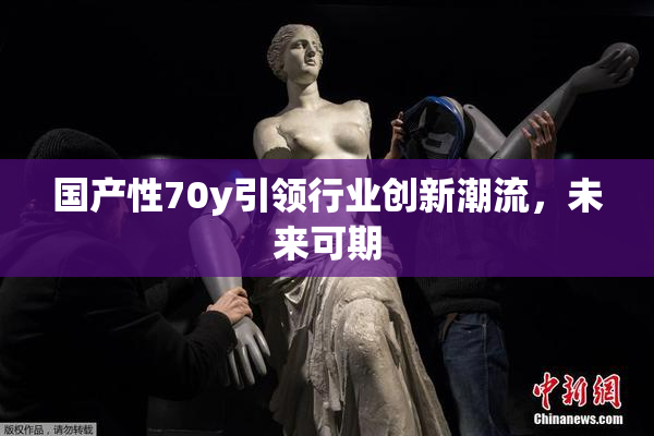 国产性70y引领行业创新潮流，未来可期