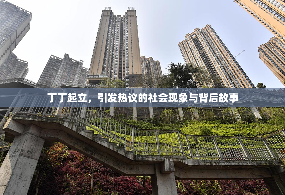 丁丁起立，引发热议的社会现象与背后故事