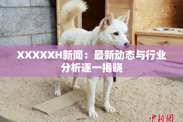 XXXXXH新闻：最新动态与行业分析逐一揭晓
