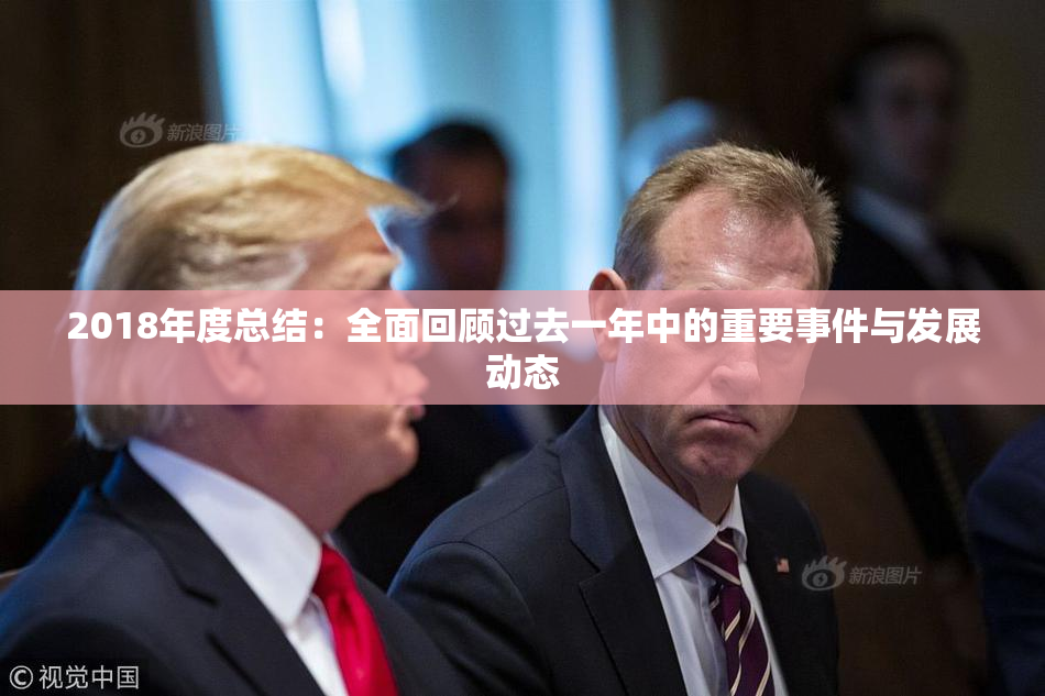 2018年度总结：全面回顾过去一年中的重要事件与发展动态