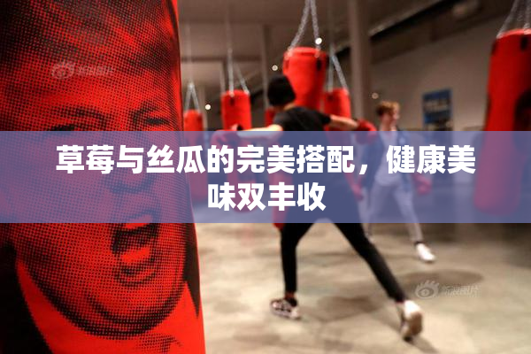 草莓与丝瓜的完美搭配，健康美味双丰收