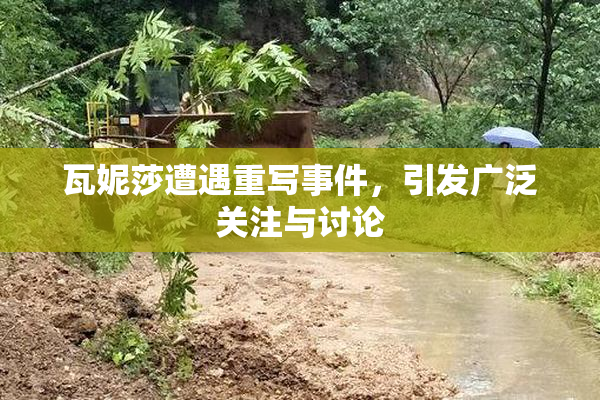 瓦妮莎遭遇重写事件，引发广泛关注与讨论