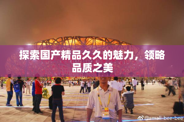 探索国产精品久久的魅力，领略品质之美