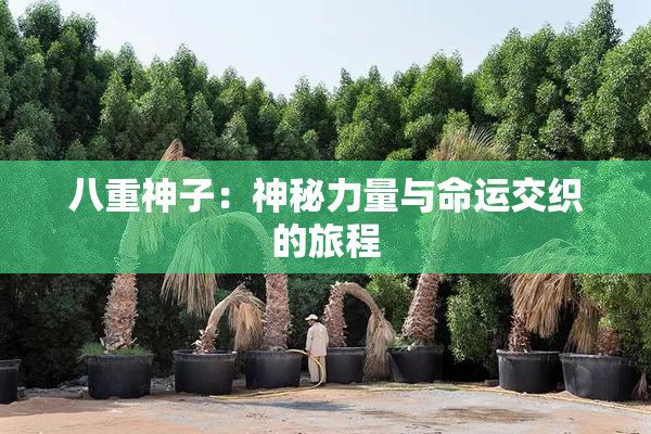 八重神子：神秘力量与命运交织的旅程