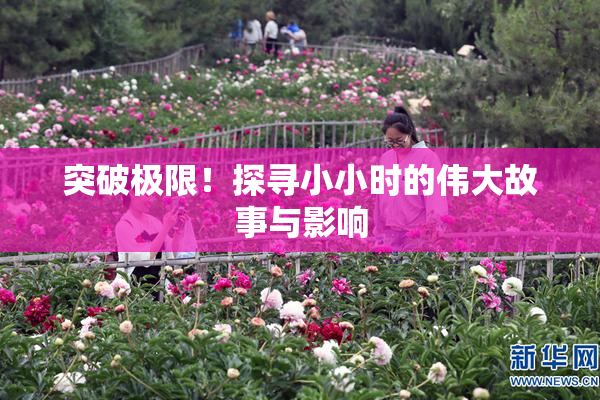 突破极限！探寻小小时的伟大故事与影响
