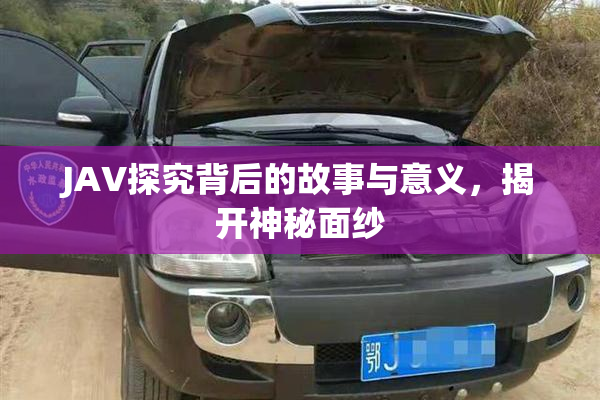 JAV探究背后的故事与意义，揭开神秘面纱