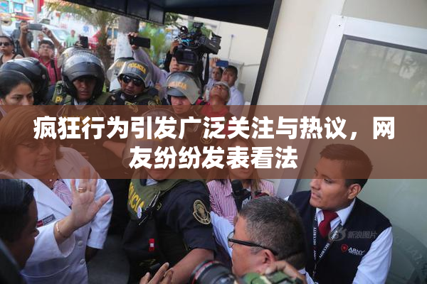 疯狂行为引发广泛关注与热议，网友纷纷发表看法