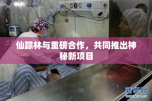 仙踪林与重磅合作，共同推出神秘新项目