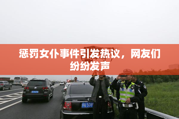 惩罚女仆事件引发热议，网友们纷纷发声
