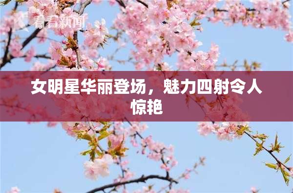 女明星华丽登场，魅力四射令人惊艳