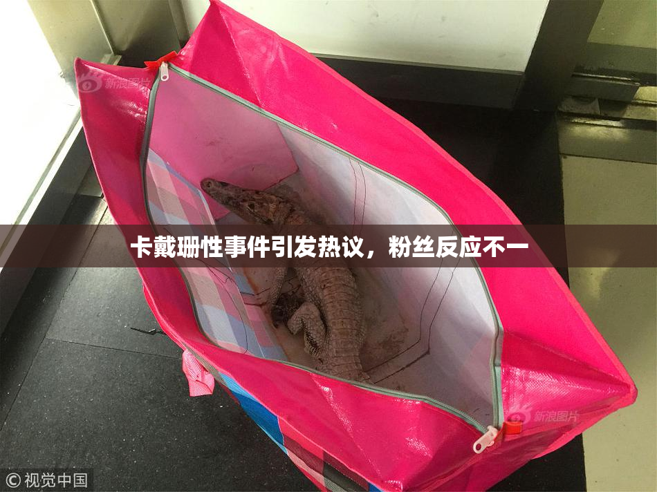 卡戴珊性事件引发热议，粉丝反应不一