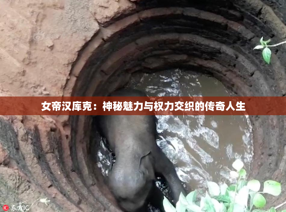 女帝汉库克：神秘魅力与权力交织的传奇人生