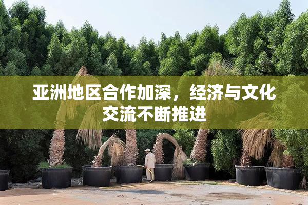 亚洲地区合作加深，经济与文化交流不断推进