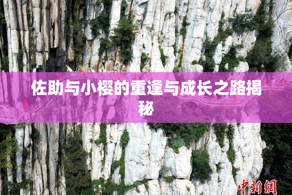 佐助与小樱的重逢与成长之路揭秘