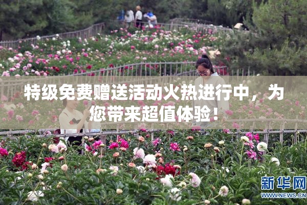 特级免费赠送活动火热进行中，为您带来超值体验！