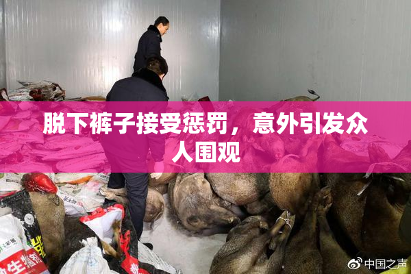 脱下裤子接受惩罚，意外引发众人围观
