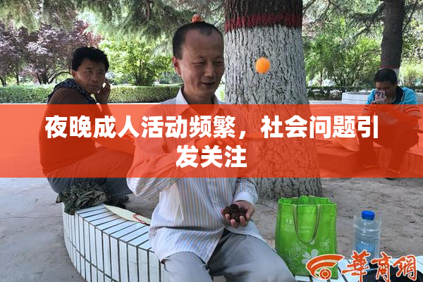 夜晚成人活动频繁，社会问题引发关注