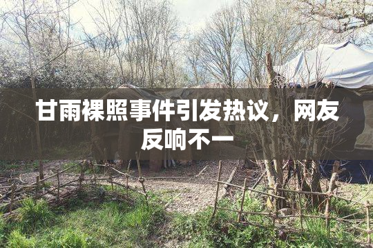 甘雨裸照事件引发热议，网友反响不一