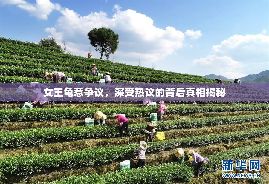 女王龟惹争议，深受热议的背后真相揭秘