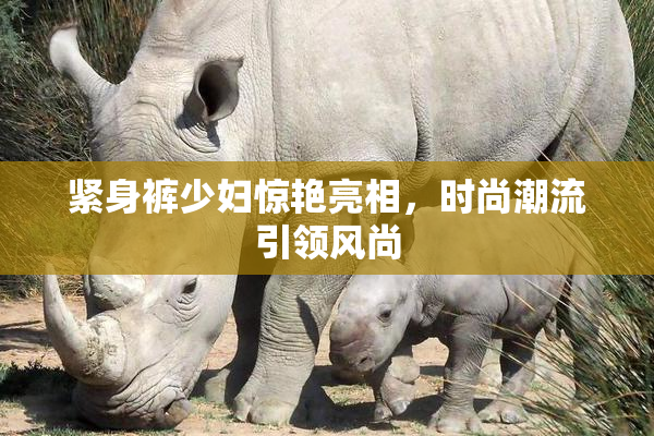 紧身裤少妇惊艳亮相，时尚潮流引领风尚