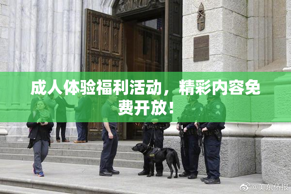 成人体验福利活动，精彩内容免费开放！