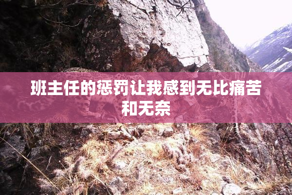 班主任的惩罚让我感到无比痛苦和无奈