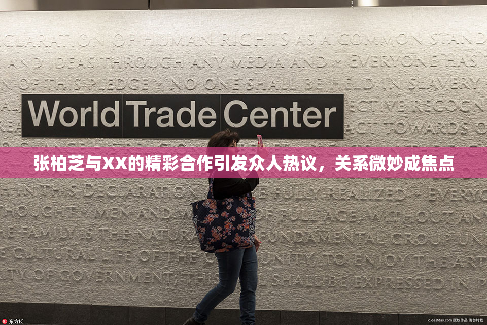 张柏芝与XX的精彩合作引发众人热议，关系微妙成焦点