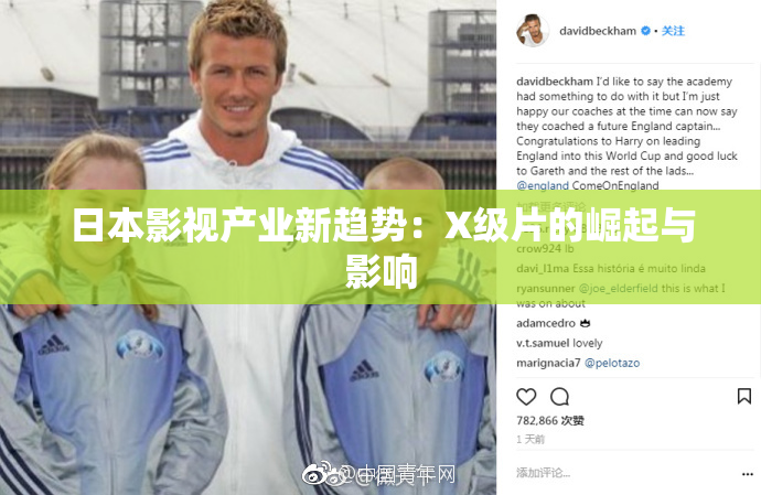 日本影视产业新趋势：X级片的崛起与影响