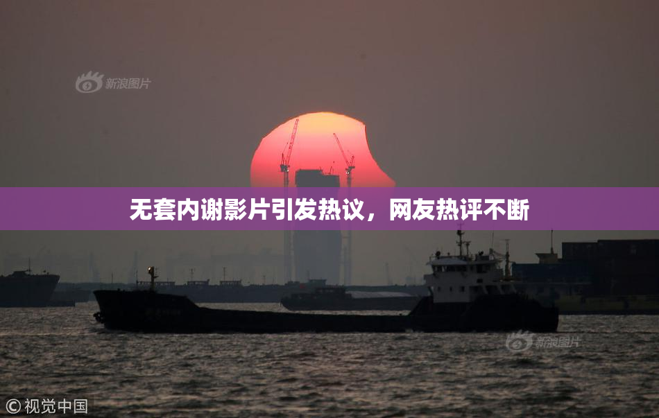 无套内谢影片引发热议，网友热评不断