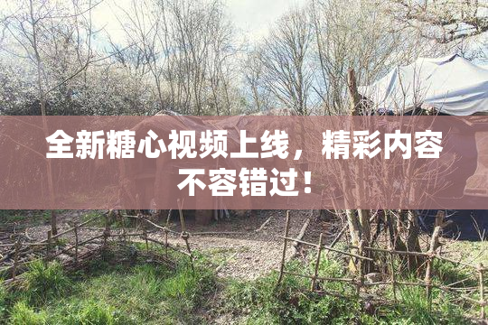 全新糖心视频上线，精彩内容不容错过！