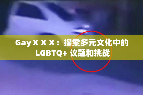 GayⅩⅩⅩ：探索多元文化中的 LGBTQ+ 议题和挑战