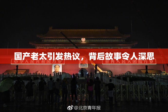 国产老太引发热议，背后故事令人深思