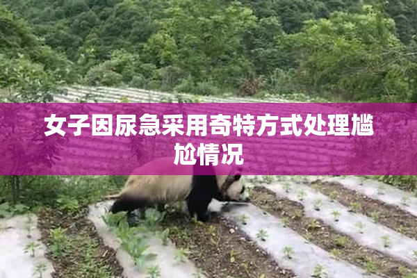 女子因尿急采用奇特方式处理尴尬情况