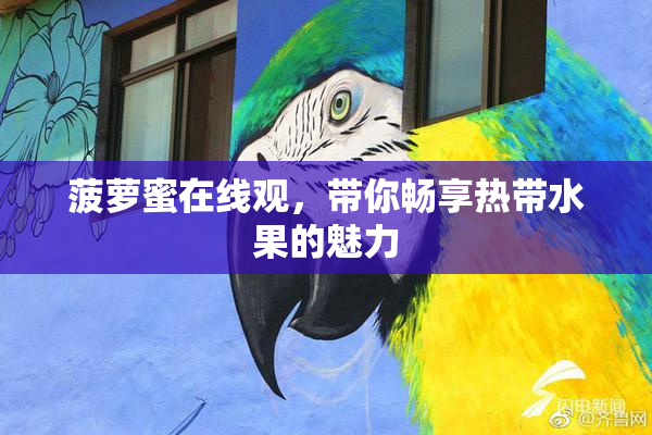 菠萝蜜在线观，带你畅享热带水果的魅力