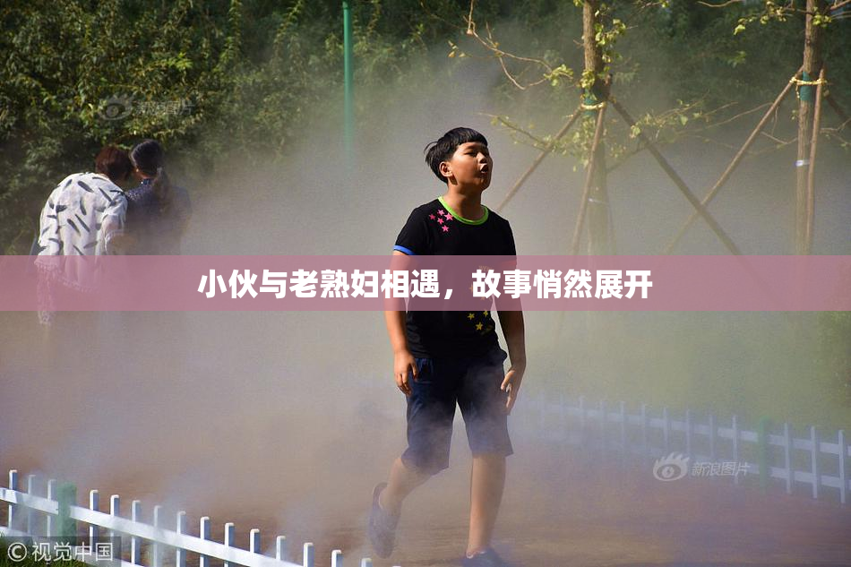 小伙与老熟妇相遇，故事悄然展开