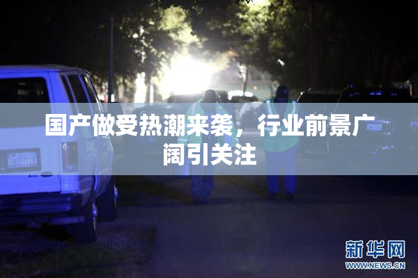 国产做受热潮来袭，行业前景广阔引关注