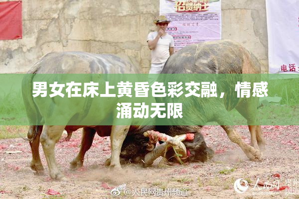 男女在床上黄昏色彩交融，情感涌动无限