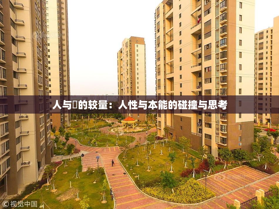人与嘼的较量：人性与本能的碰撞与思考
