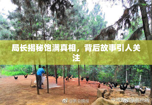 局长揭秘饱满真相，背后故事引人关注