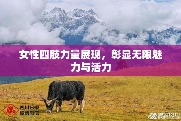 女性四肢力量展现，彰显无限魅力与活力