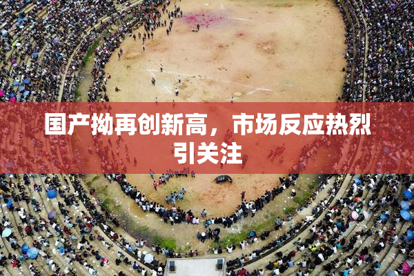 国产拗再创新高，市场反应热烈引关注