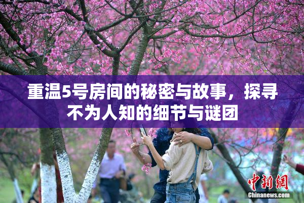 重温5号房间的秘密与故事，探寻不为人知的细节与谜团