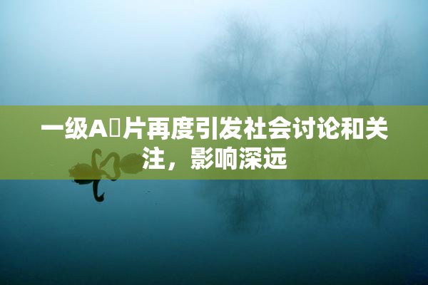 一级A婬片再度引发社会讨论和关注，影响深远
